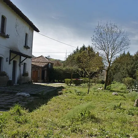 Farm stay Azienda Agricola Traina *