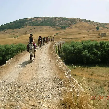 Alloggio per agriturismo Azienda Agricola Traina