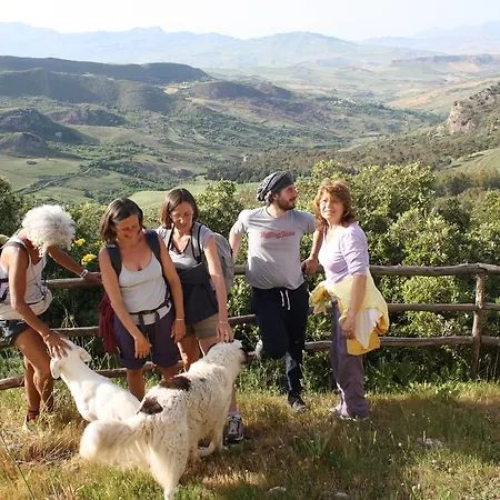 Azienda Agricola Traina