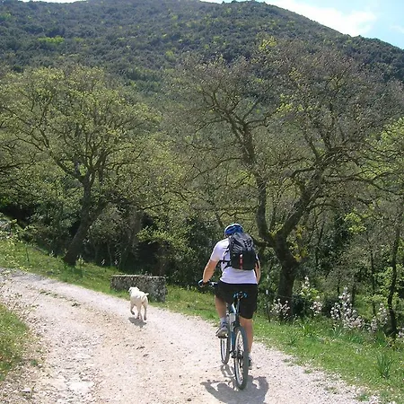 Azienda Agricola Traina *