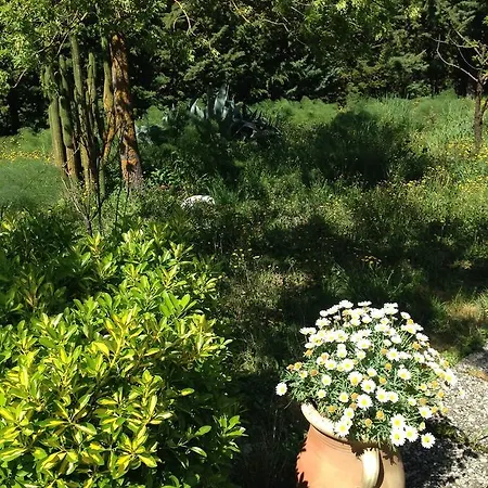 Azienda Agricola Traina Prizzi