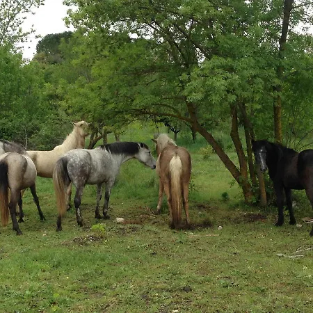 Alloggio per agriturismo Azienda Agricola Traina Prizzi