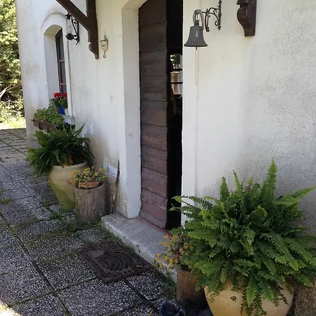 Azienda Agricola Traina Prizzi